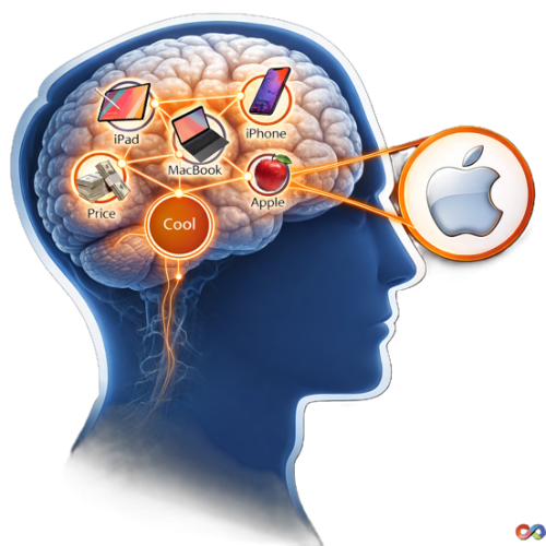 brain Associations