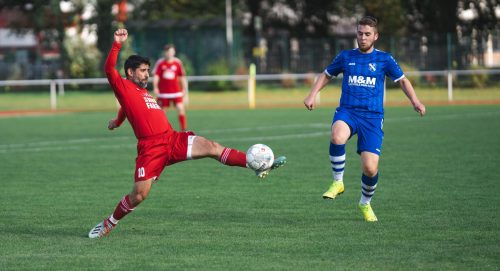 Predicting audience demand for European football: Insights for a Scandinavian TV channel